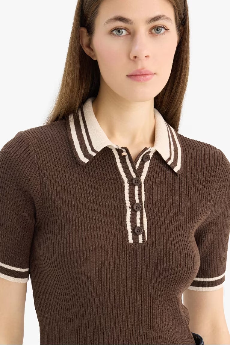 Regular Fit Polo Collar Ribana Pullover - - Brown