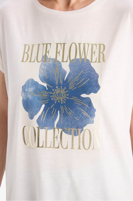 Woman Short Sleeve T-Shirt - -
