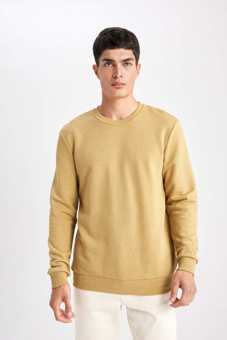 Regular Fit Sweatshirt - - dune