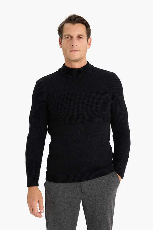 Standard Fit Half Turtleneck Knitwear Pullover - -