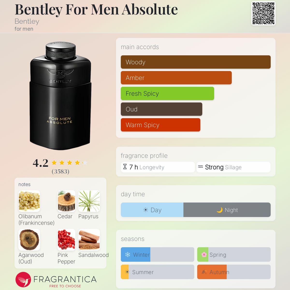 BENTLEY absolute edp 100 ml - -
