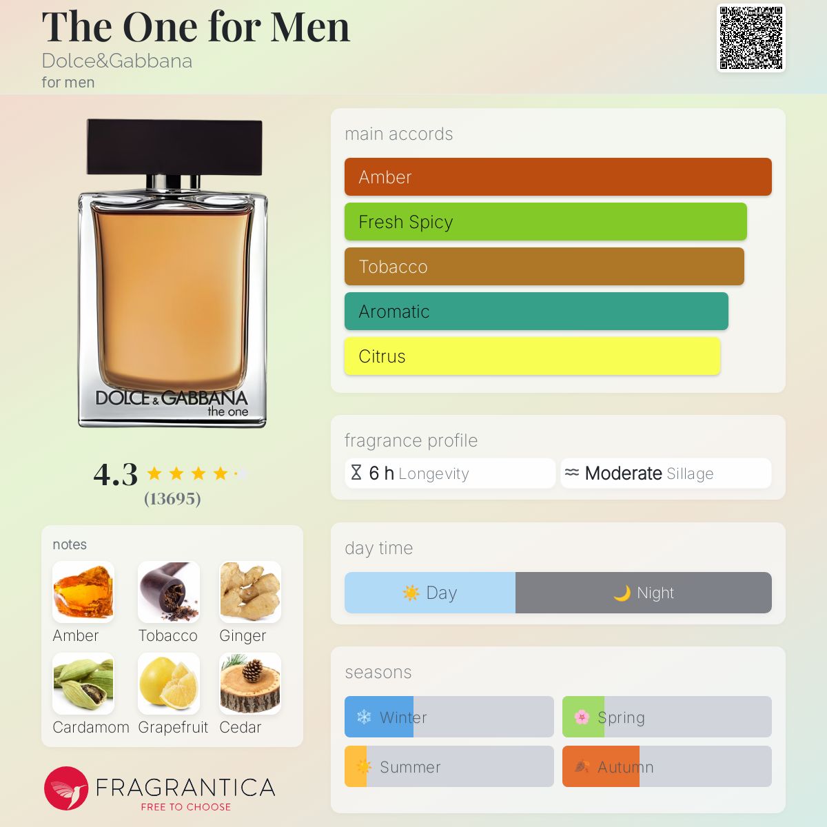 DOLCE and GABBANA The One Toilette - -