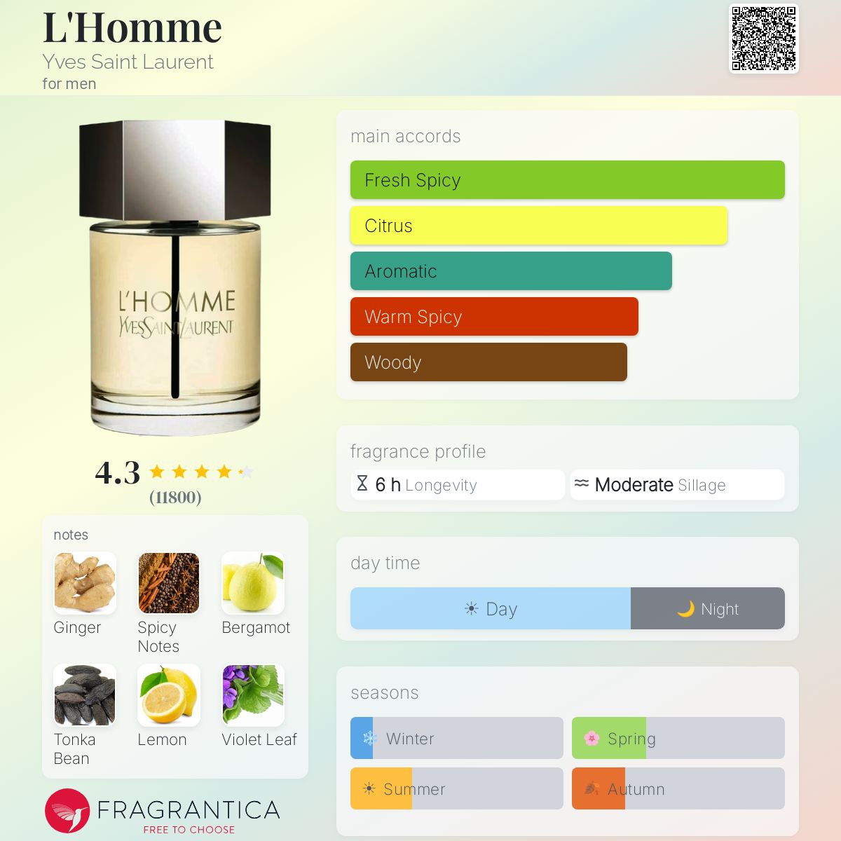 YVES SAINT LAURENT L'Homme eau de toilette 100 ml - -