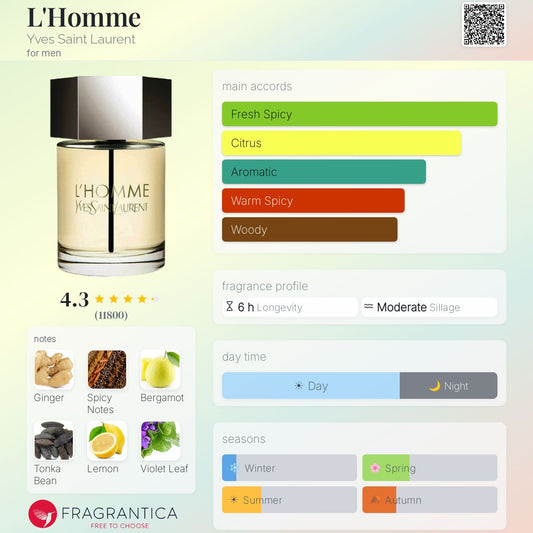 YVES SAINT LAURENT L'Homme eau de toilette 100 ml - -