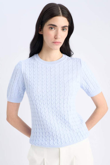 Regular Fit Crew Neck Pullover - - sky