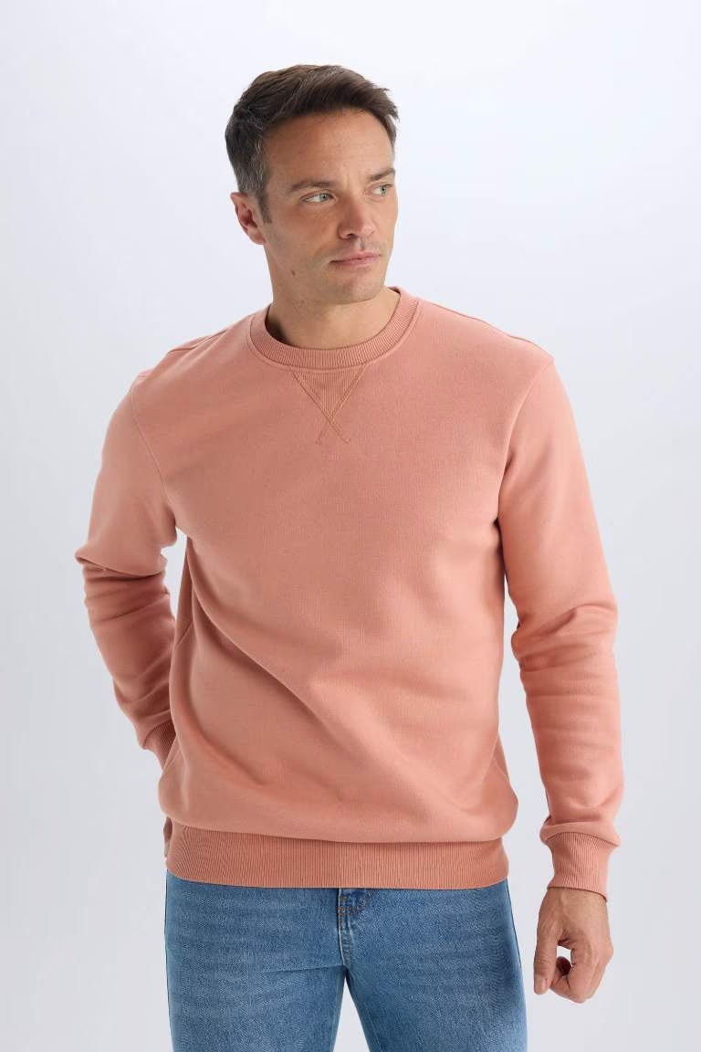 Regular Fit Crew Neck Basic Thick Sweatshirt - - Rose