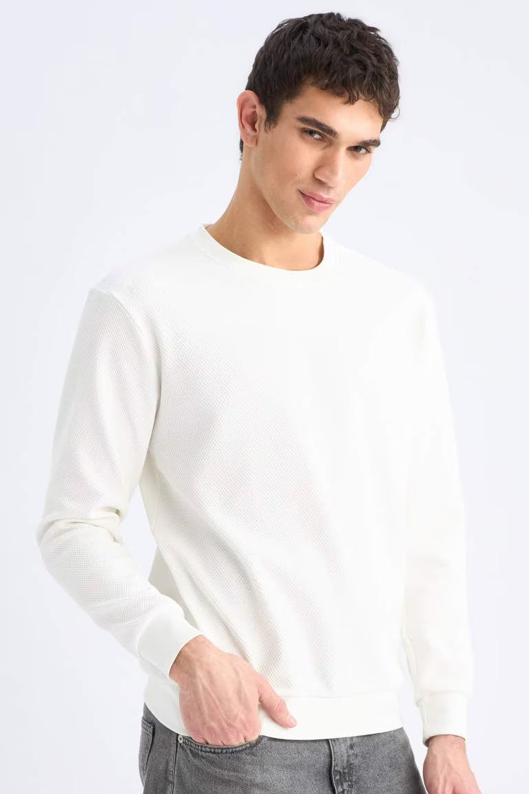 Regular Fit Long Sleeve Sweatshirt - -