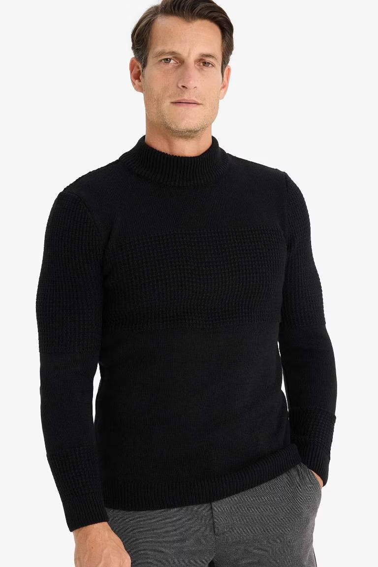 Standard Fit Half Turtleneck Knitwear Pullover - - Black