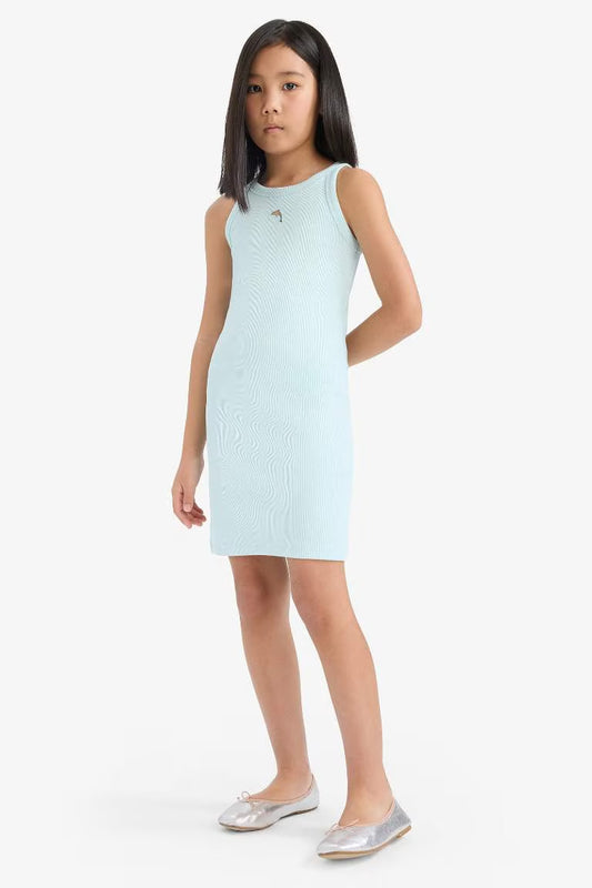 Fitted Crew Neck Corduroy Sleeveless Dress - - sky