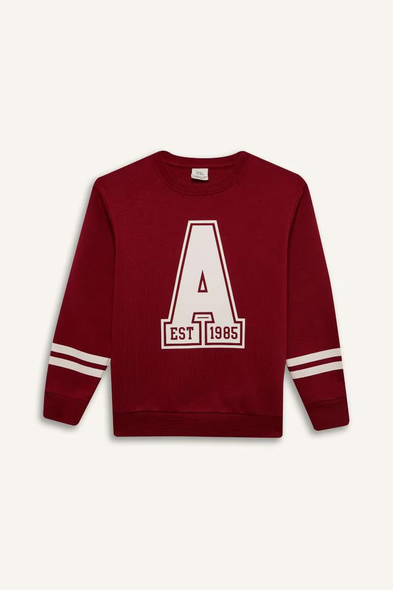 Boy Crew Neck Printed Sweatshirt - - bordeaux