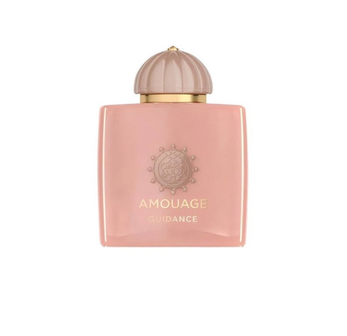 AMOUAGE GUIDANCE Eau de Parfum 100ml - - 100 ml