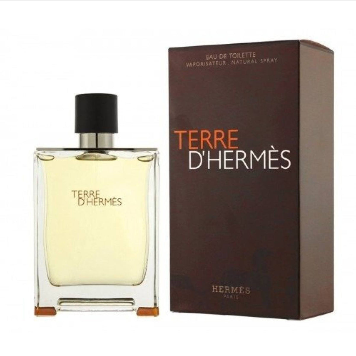 HERMES TERRE D'HERMES EAU DE TOILETTE 100 ML - - 100 ml