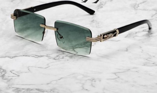 SUNGLASSES - -