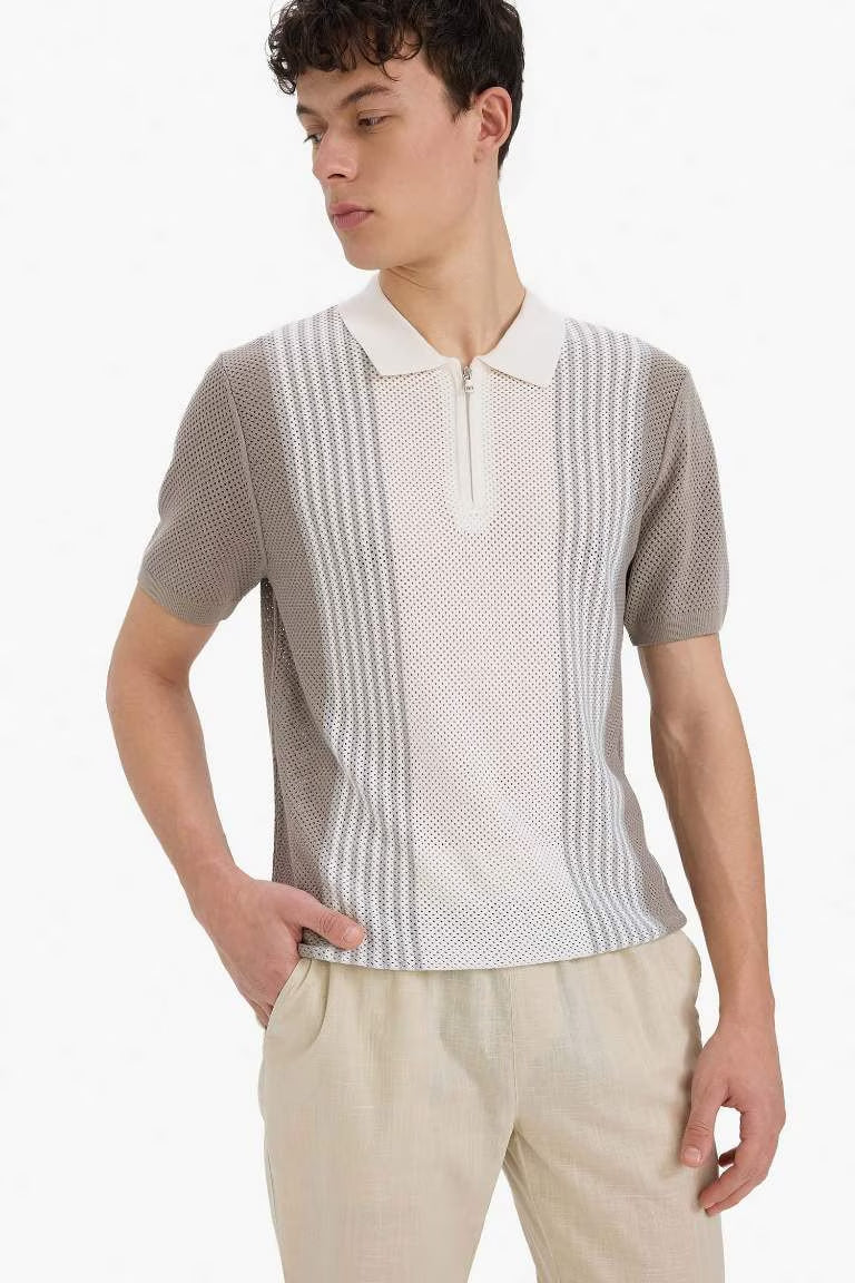 Standard Fit Polo Collar Knitwear Polo T-Shirt - - Vision