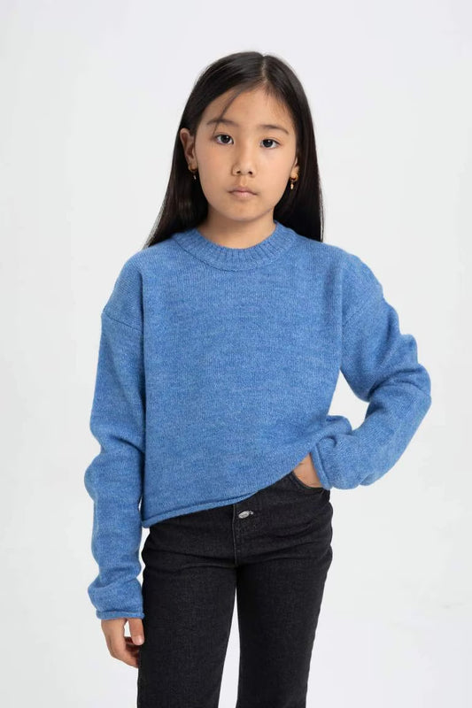 Girl Standard Fit Crew Neck Basic Knitted Pullover - - Blue