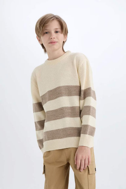 Boy Regular Fit Crew Neck Striped Knitwear Pullover - -