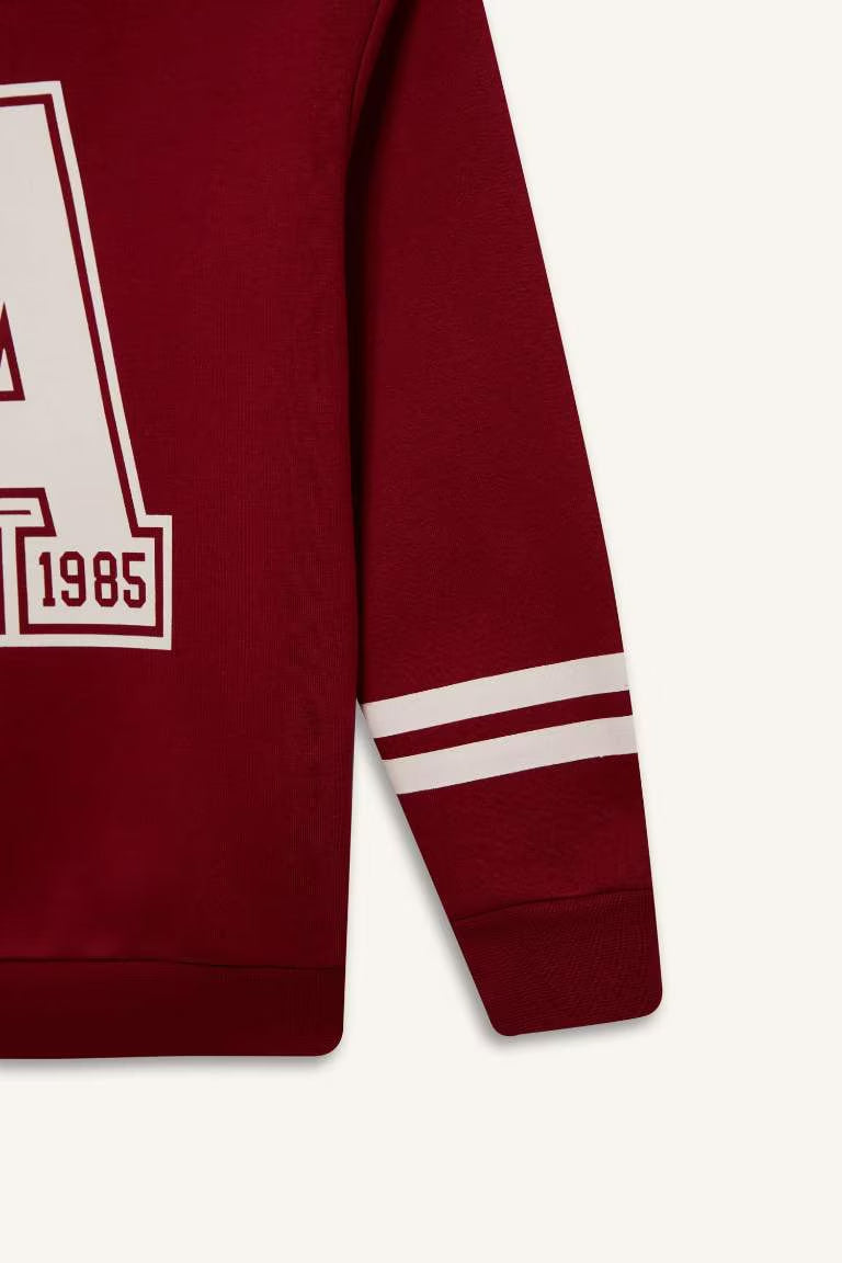 Boy Crew Neck Printed Sweatshirt - -