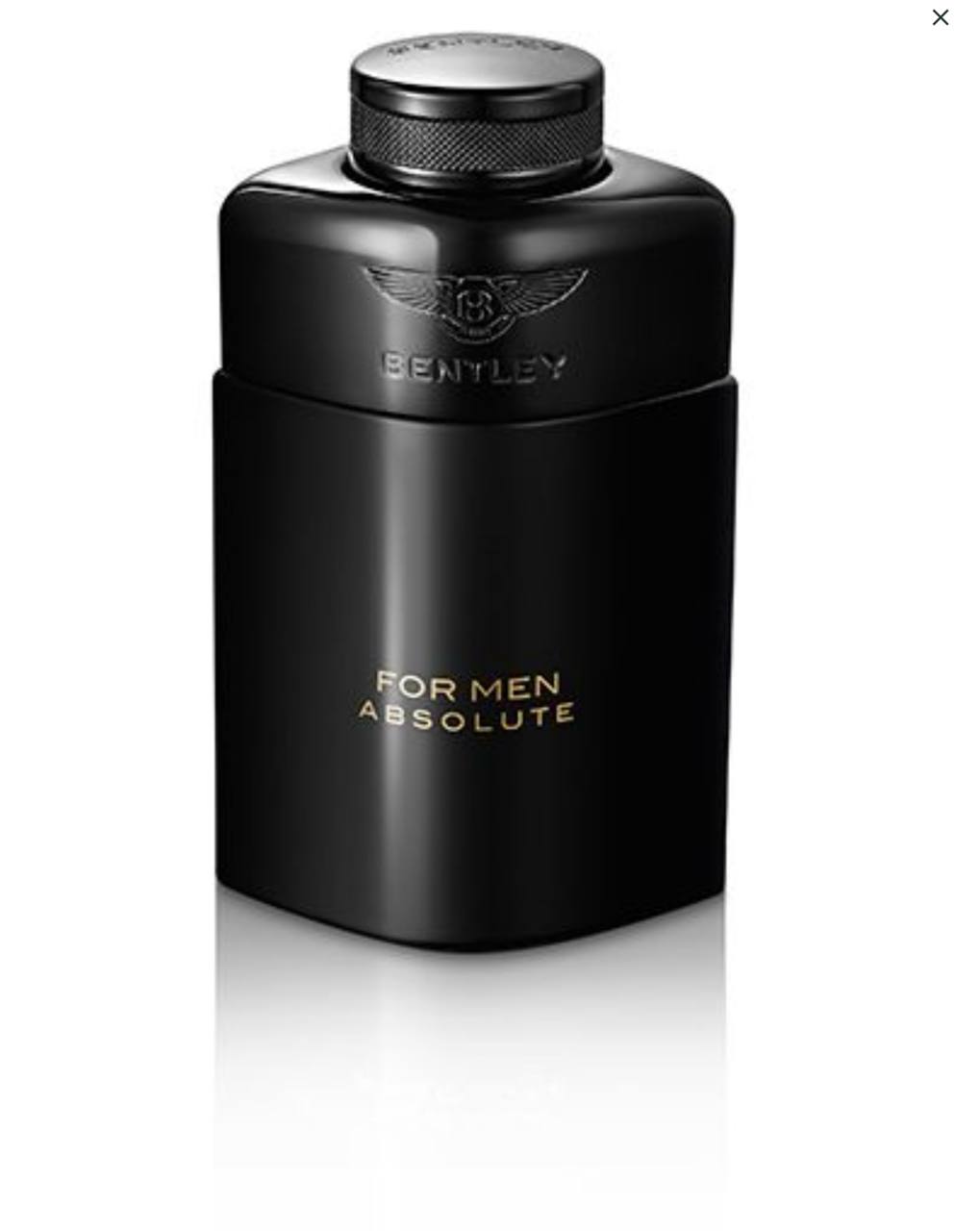 BENTLEY absolute edp 100 ml - - 100 ml