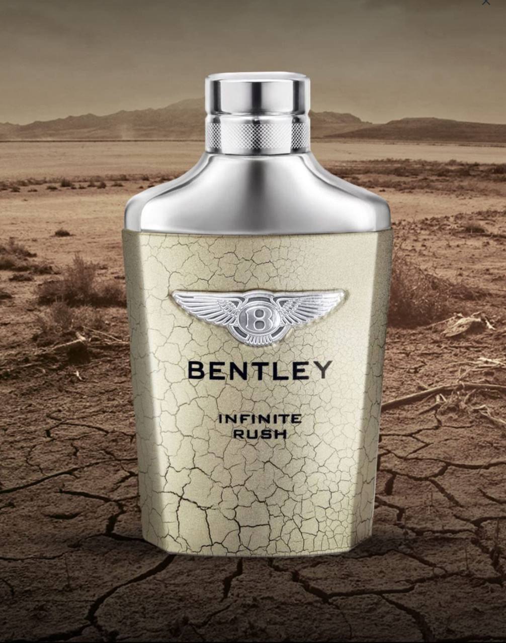 BENTLEY Infinite Rush 100ml EDT - - 100 ml