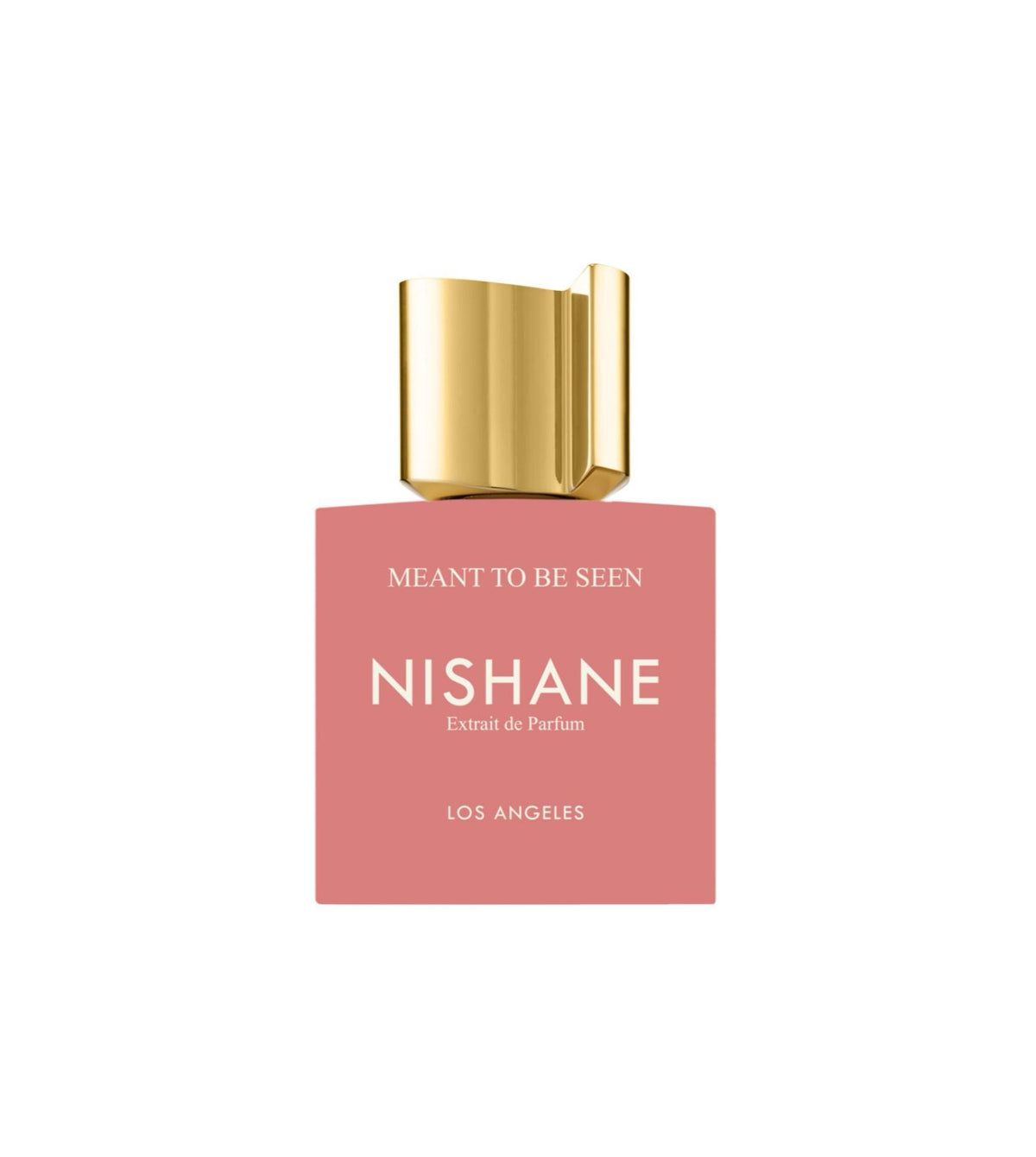 NISHANE Meant To Be Seen Extrait de Parfum 100ml - -