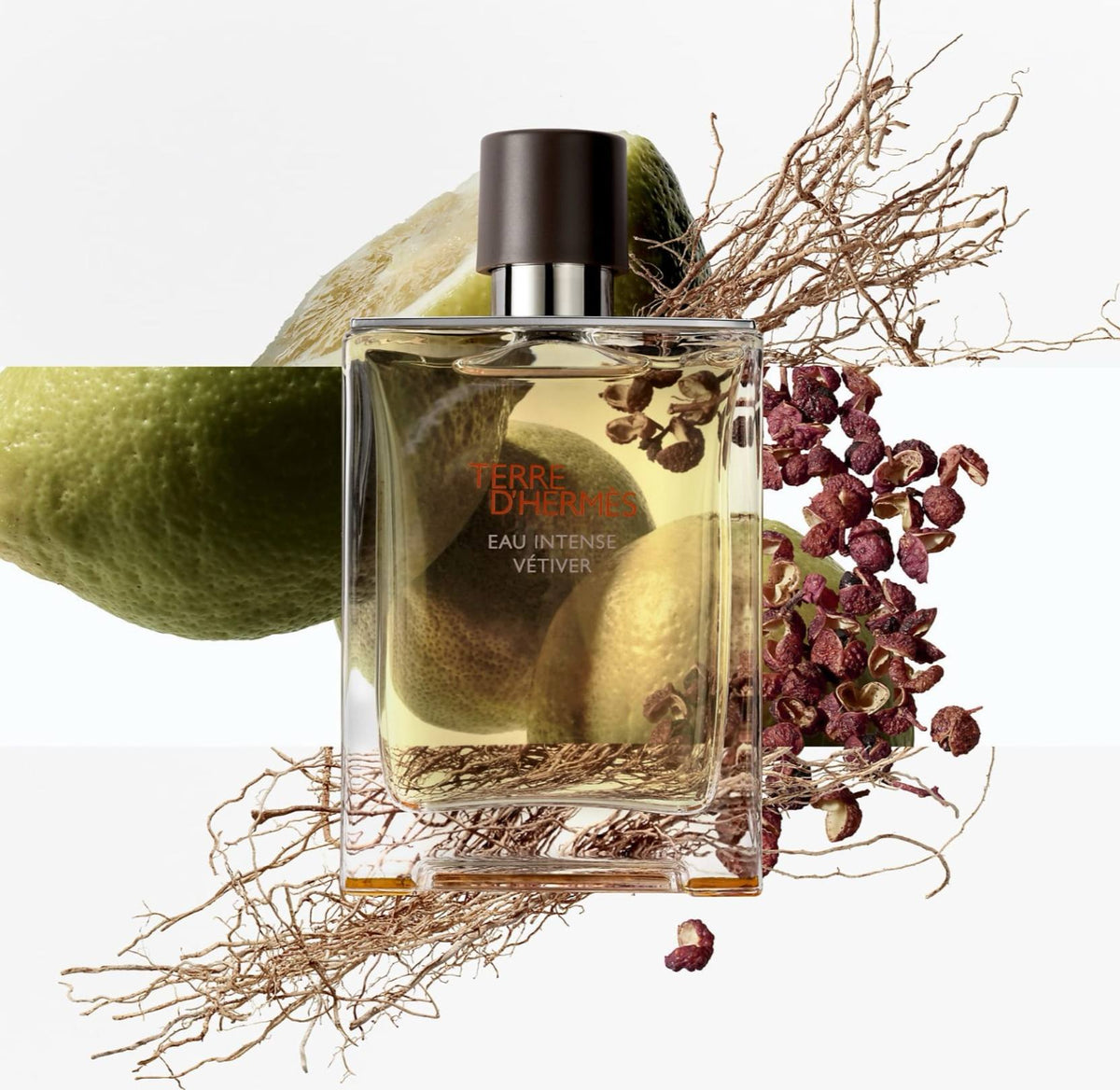 TERRE D'HERMES Eau Intense Vetiver Eau De Parfum 100ml - - 100 ml