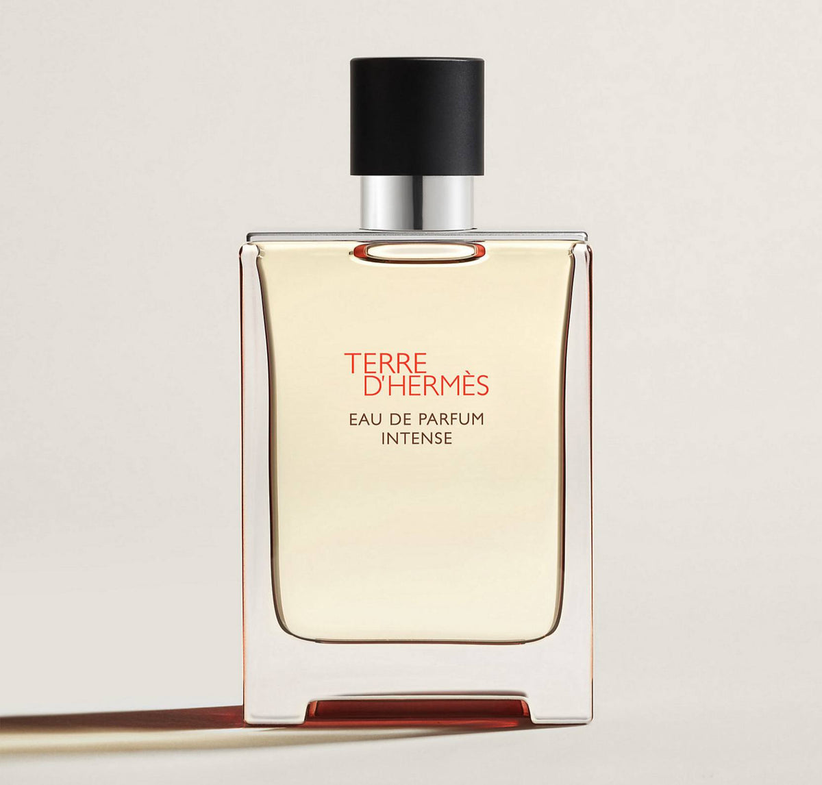 HERMES Terre d'Hermès eau de parfum Intense Hermès for men 100ml - -