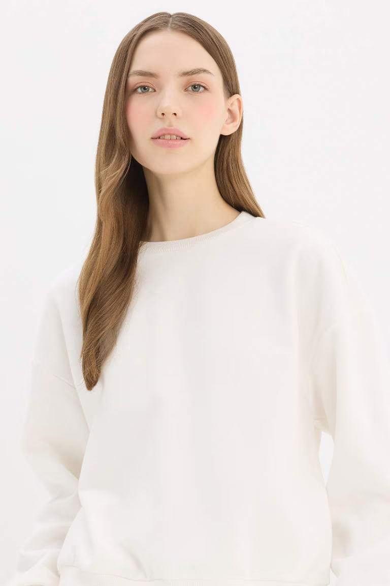 Regular Fit Crew Neck Thick Basic Sweatshirt - - White