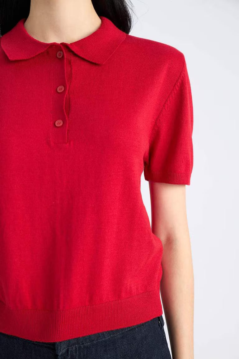 Regular Fit Polo Collar Knitwear Pullover - -