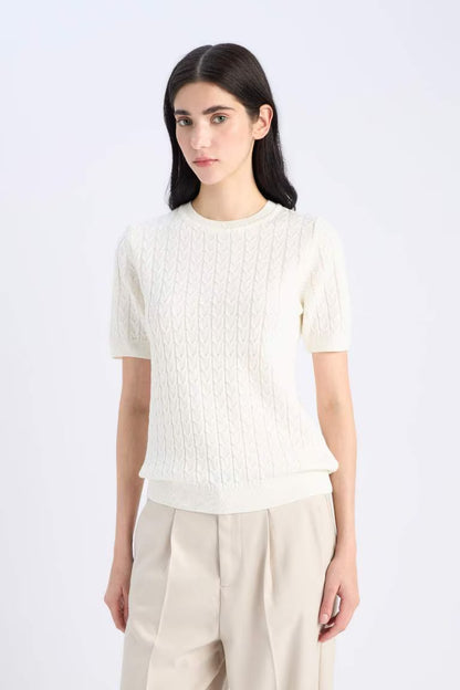 Regular Fit Crew Neck Pullover - -