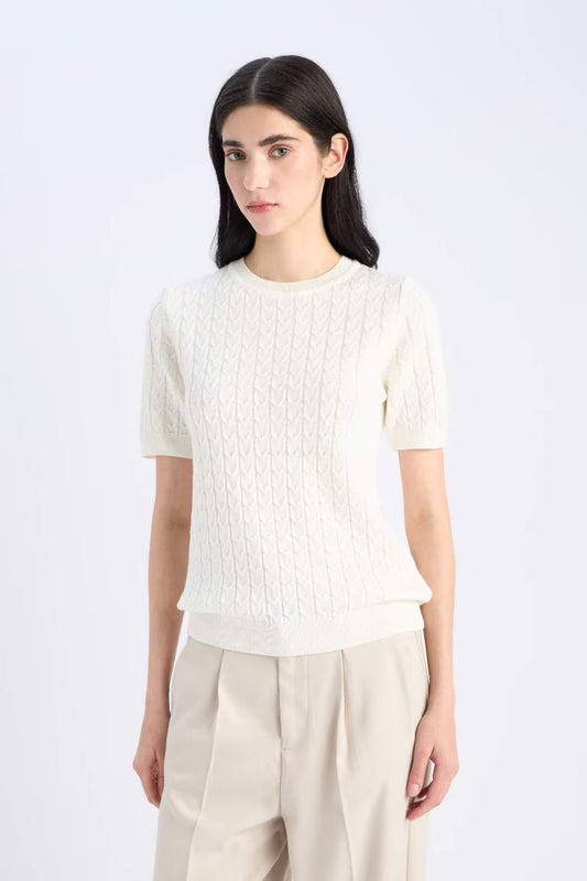 Regular Fit Crew Neck Pullover - -