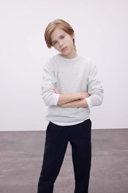 Boy Crew Neck Basic Knitted Pullover - -