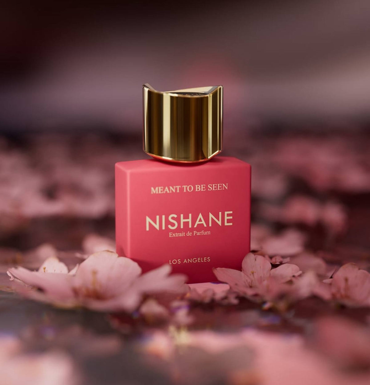 NISHANE Meant To Be Seen Extrait de Parfum 100ml - - 100 ml