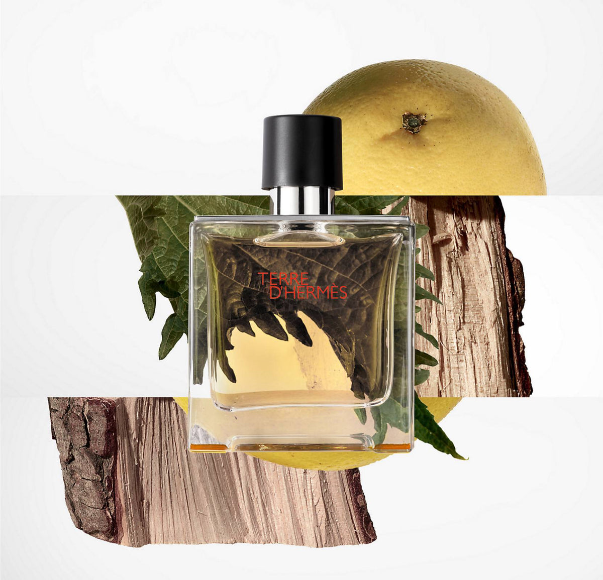 HERMES Terre d'Hermes Parfum 200ml - - 200 ml