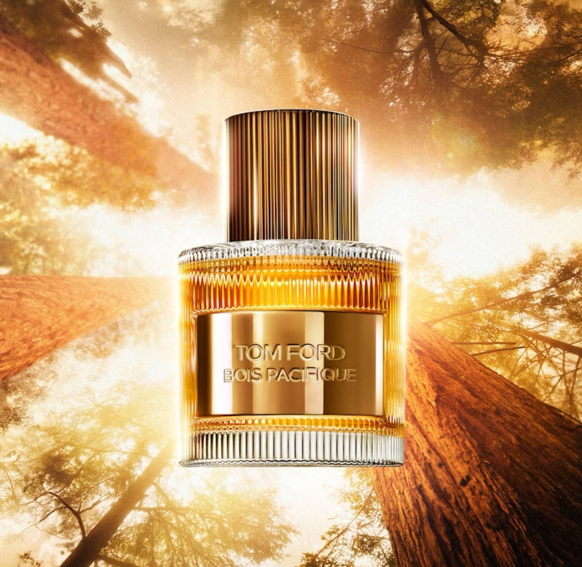TOM FORD Bois Pacifique for men Eau De Parfum 50ml - - 50 ml