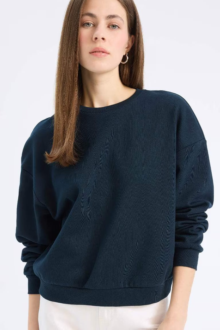 Regular Fit Crew Neck Thick Basic Sweatshirt - - Navy