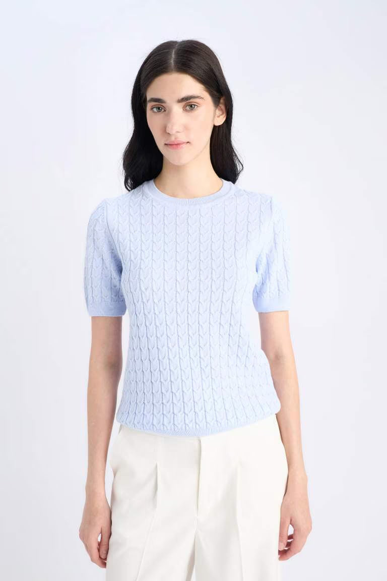 Regular Fit Crew Neck Pullover - -