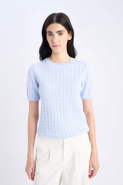 Regular Fit Crew Neck Pullover - -