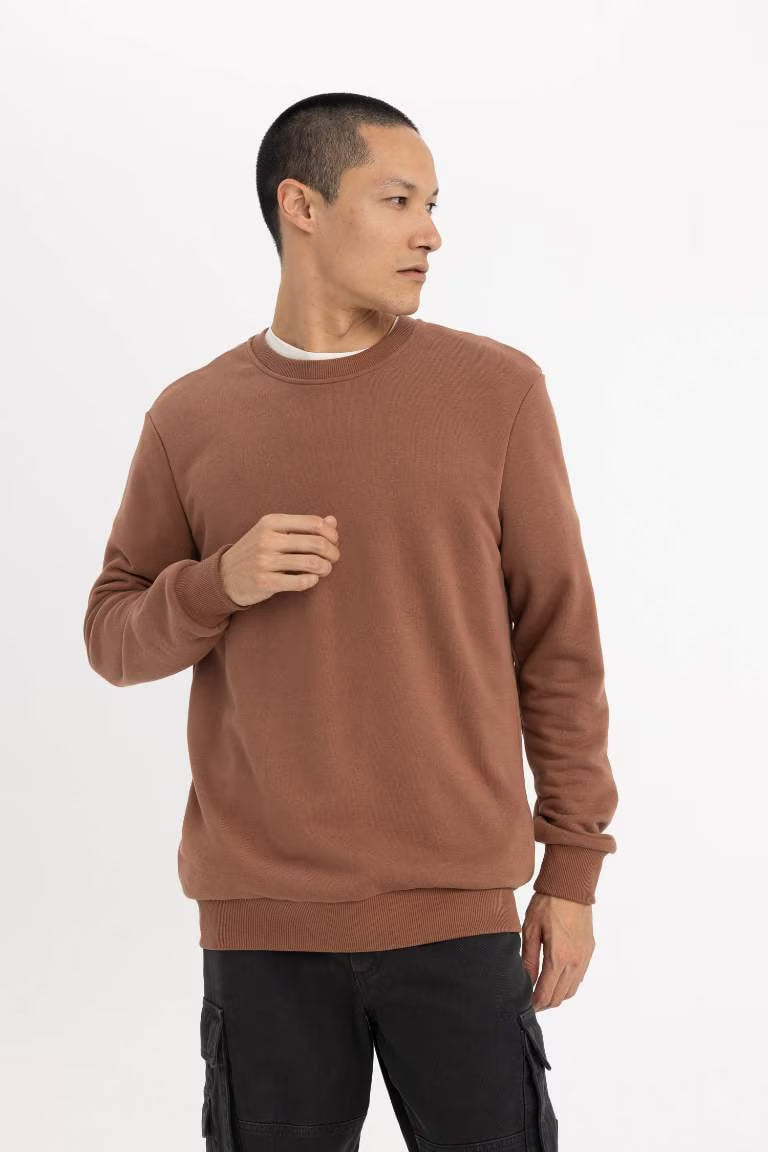 Regular Fit Sweatshirt - - Brown