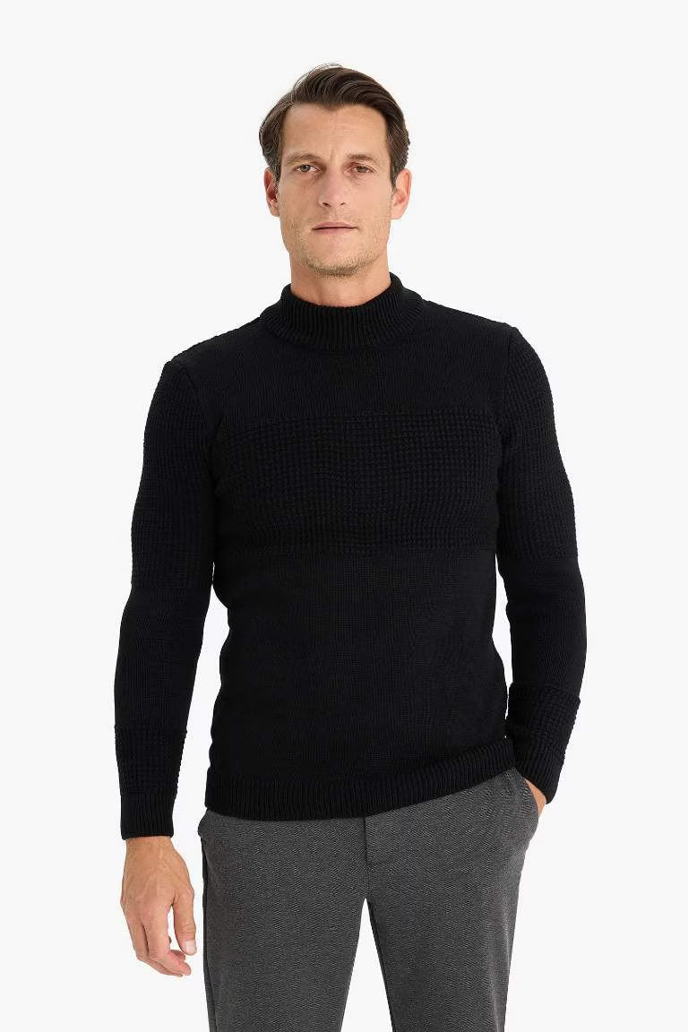 Standard Fit Half Turtleneck Knitwear Pullover - -