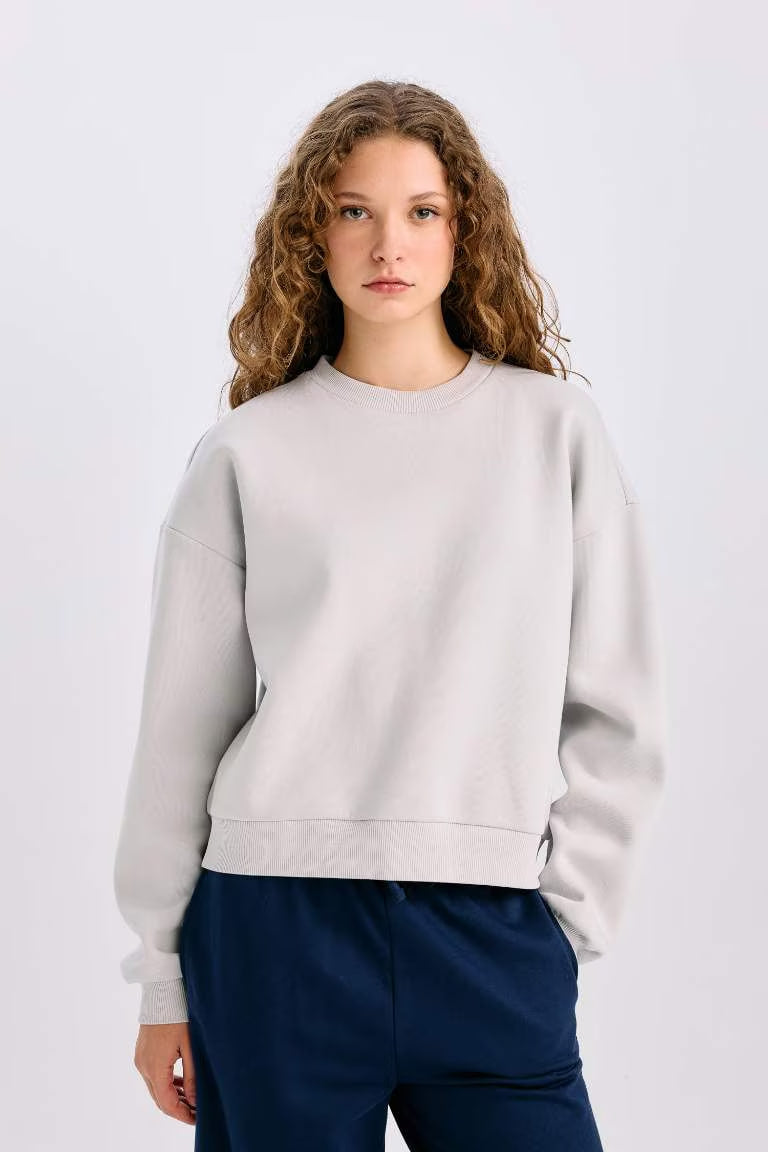 Regular Fit Crew Neck Thick Basic Sweatshirt - - stone