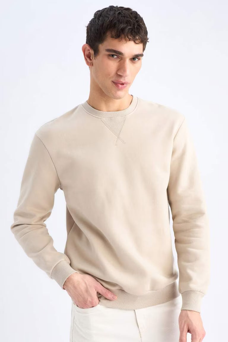 Regular Fit Crew Neck Basic Thick Sweatshirt - - stone