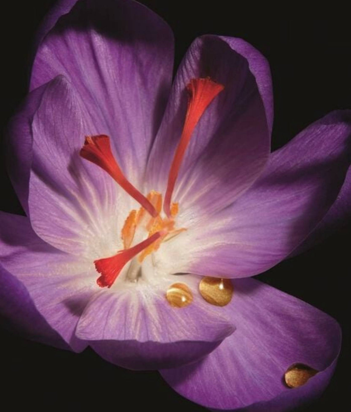 Yves Saint Laurent Or Rouge La Crème Fine - -