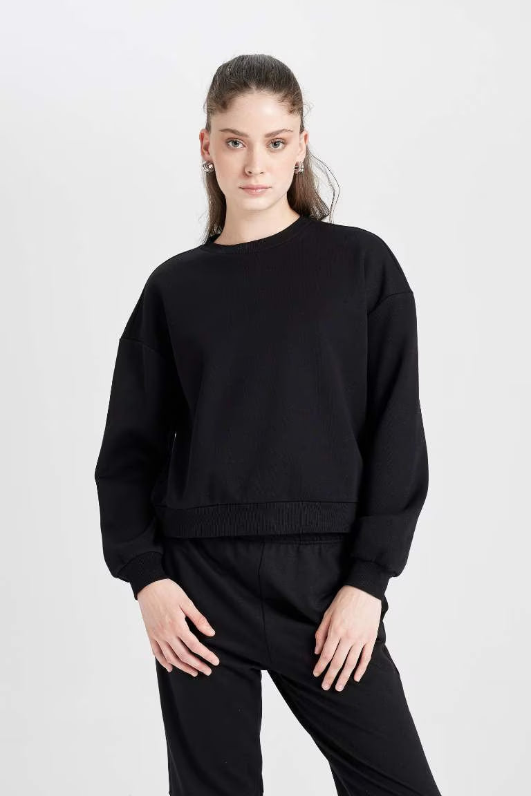 Regular Fit Crew Neck Thick Basic Sweatshirt - - Black